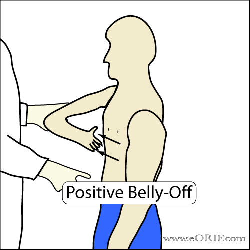 Belly-Off Sign