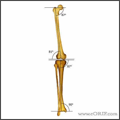Knee mechanical axis image